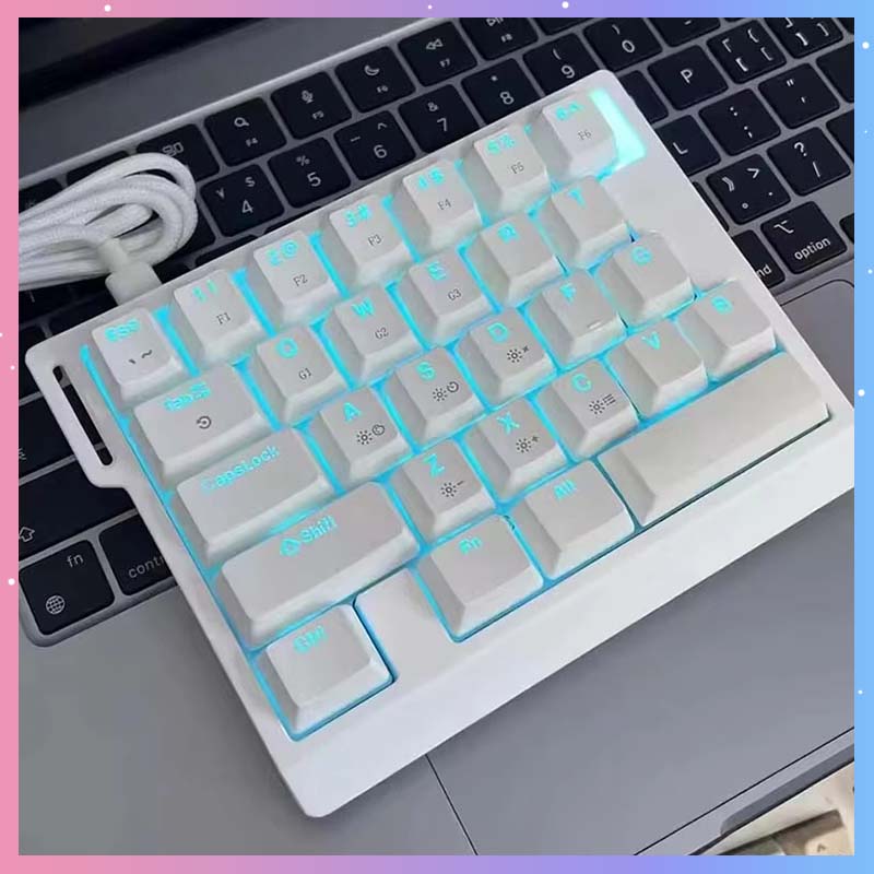 Gaming Keyboard Hand - HE30 기계식 게이밍 키보드 29키 마그네틱